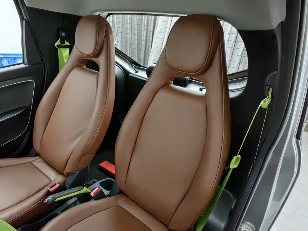 Baojun E100 2021 2020 305KM Intelligent Edition