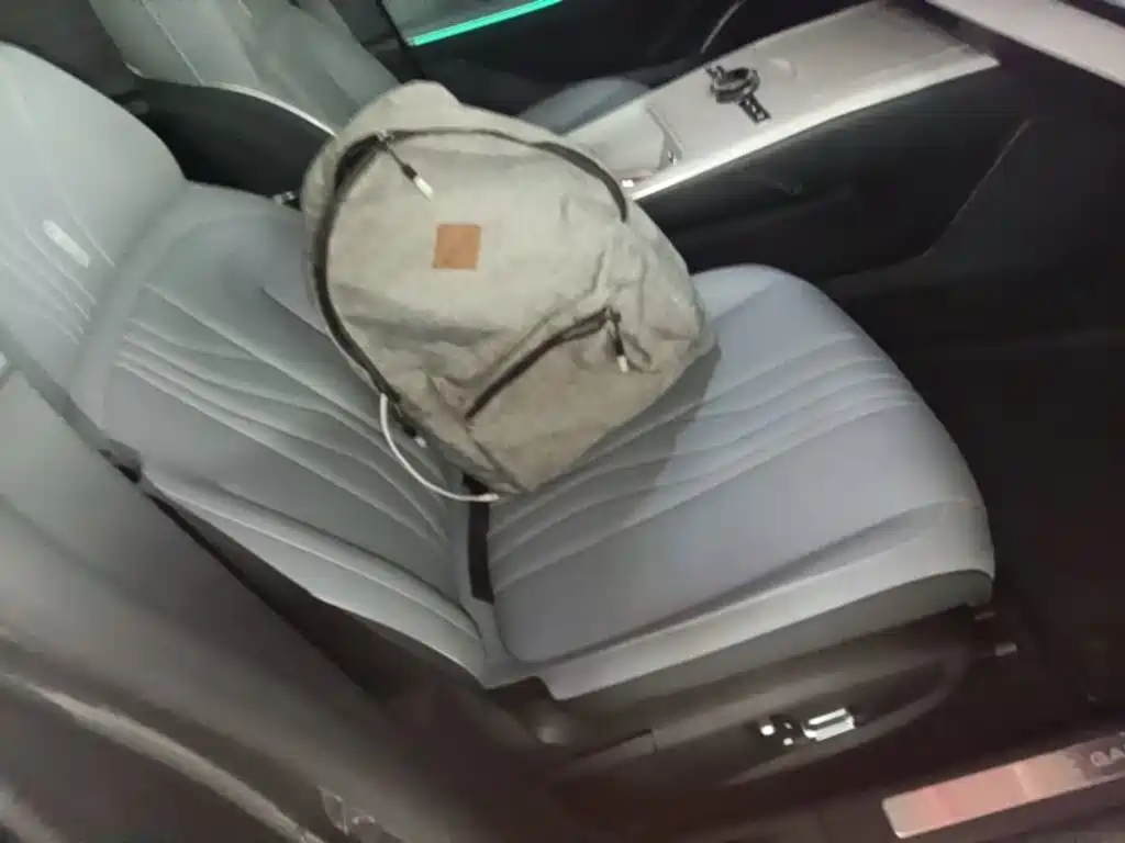 Geely Galaxy Galaxy E8 2024 2024 550km RWD MAX