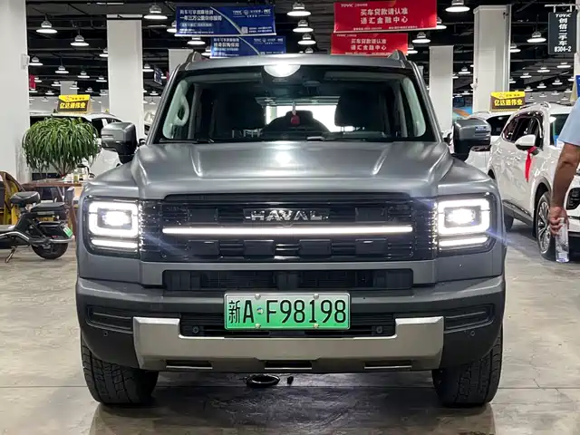  Haval Haval Meng Long NEV 2025 Model Base Version