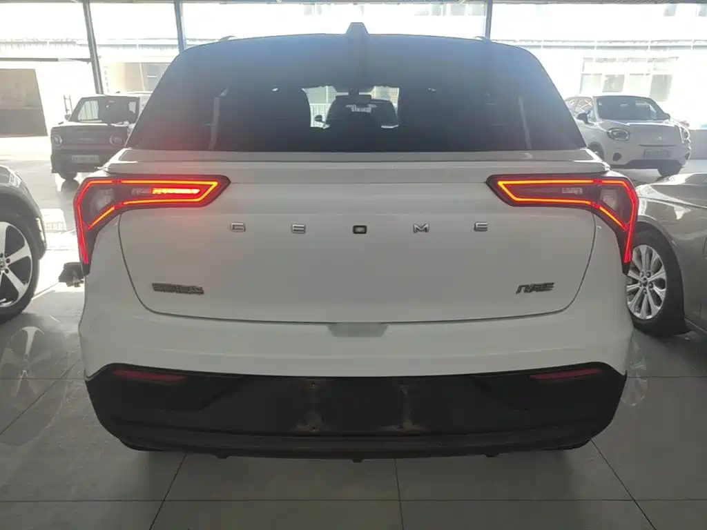 Geely Geometry E Firefly 2024 2024 Model 301km Light Flow