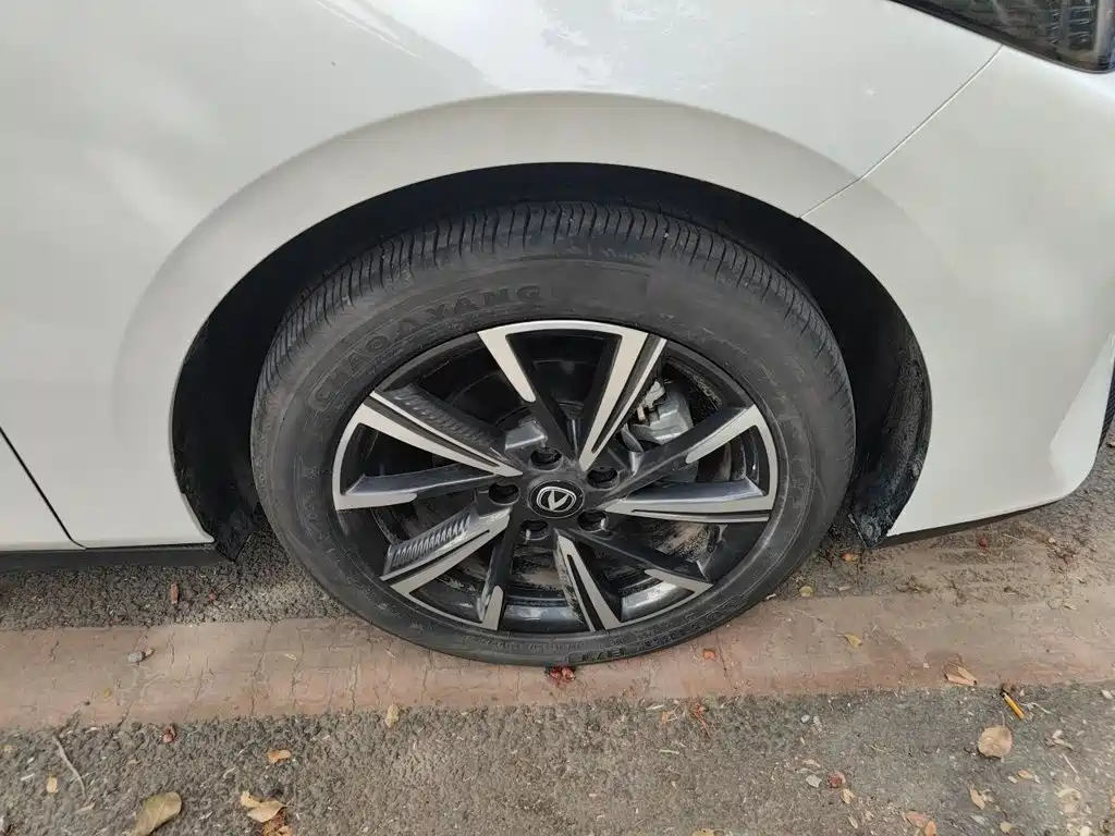Changan Eado 2025 2025 Blue Whale 1.5T 500Bar Premium