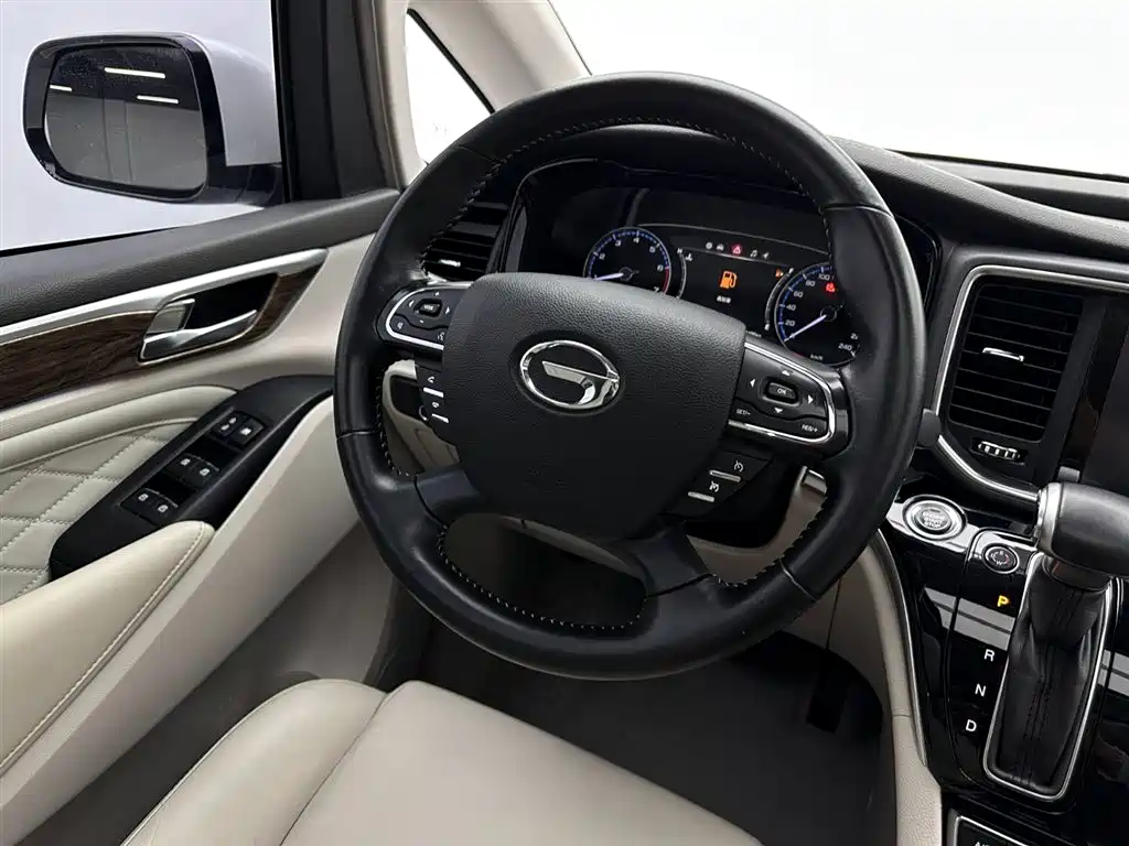 GAC Trumpchi Trumpchi M8 2018 320T Premium Edition фото 10