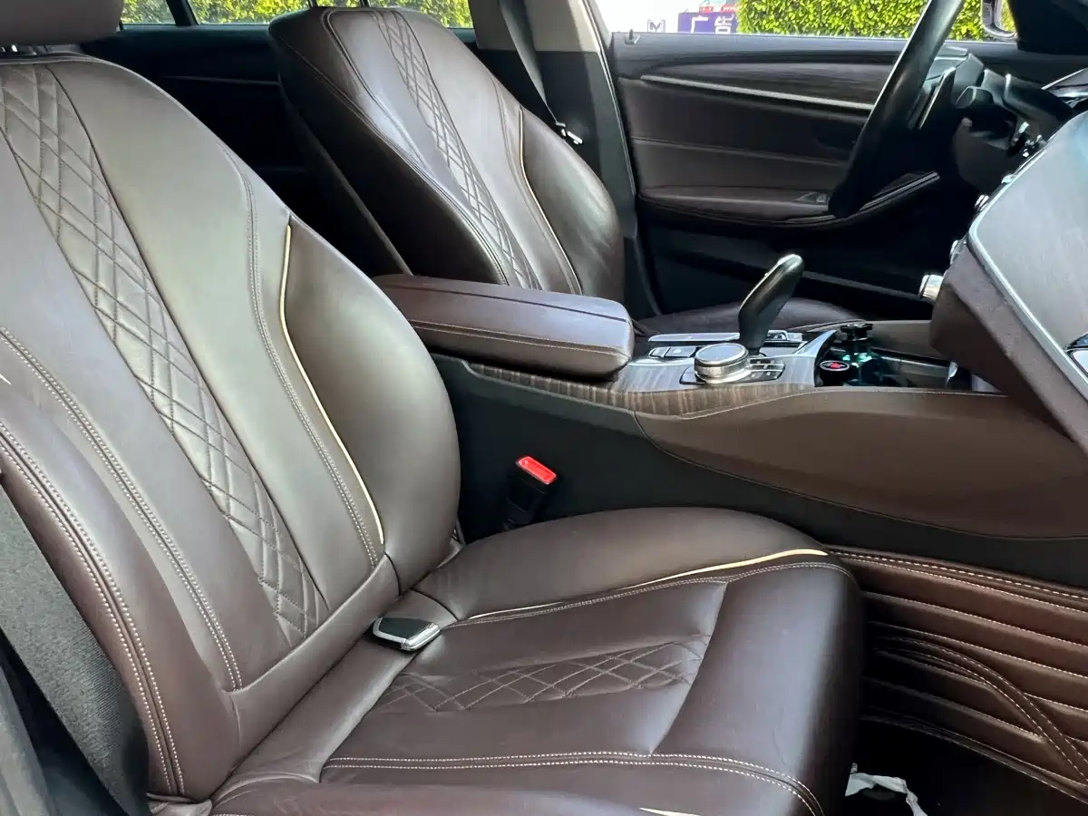BMW 5 Series 2019 530Li Leading Luxury Package фото 7
