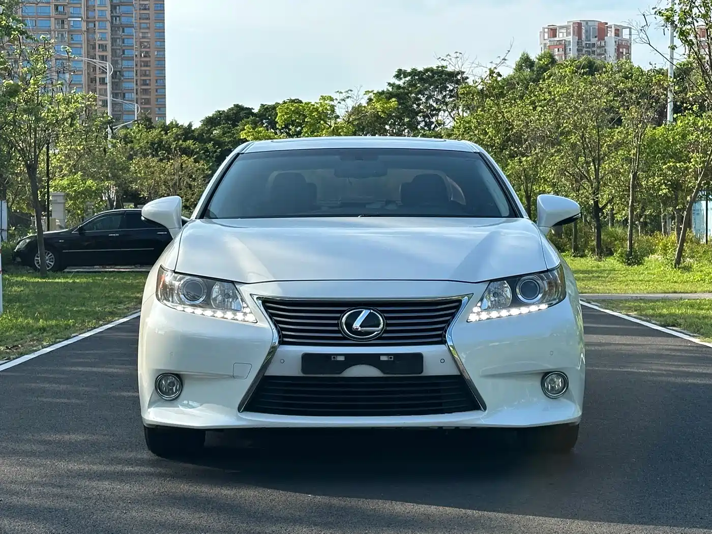 Lexus ES 2013 250 Elite Edition фото 2
