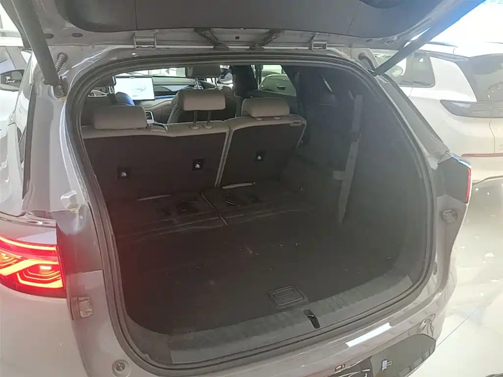 BYD Tang New Energy 2025 DM-i 115KM Cloud Chariot Flagship фото 19