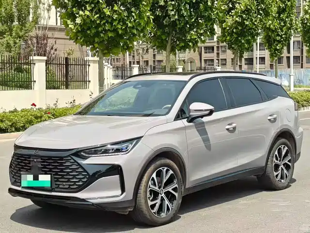  BYD Tang New Energy 2025 DM-i 115KM Premium