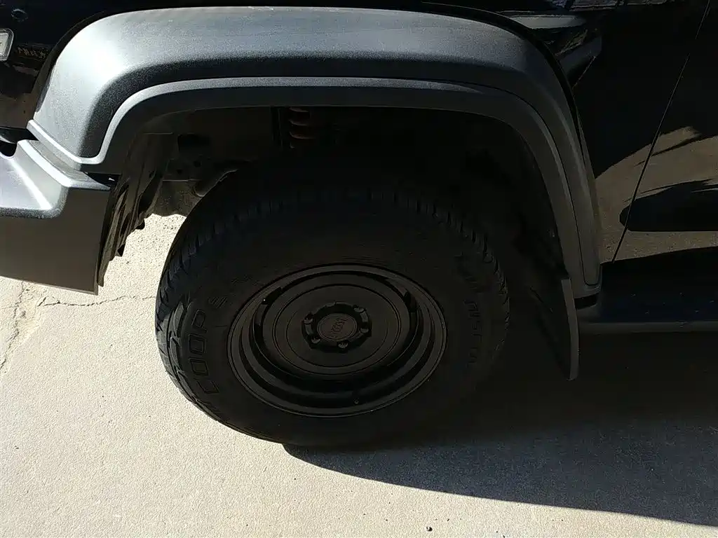 Tank 300 2021 Off-road Version 2.0T Conqueror фото 22