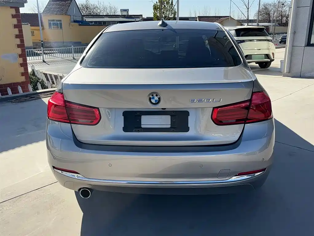 BMW 3 Series 2016 320Li Progressive фото 14