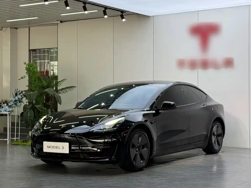 Tesla Model 3 2022 Model Rear-Wheel Drive Version