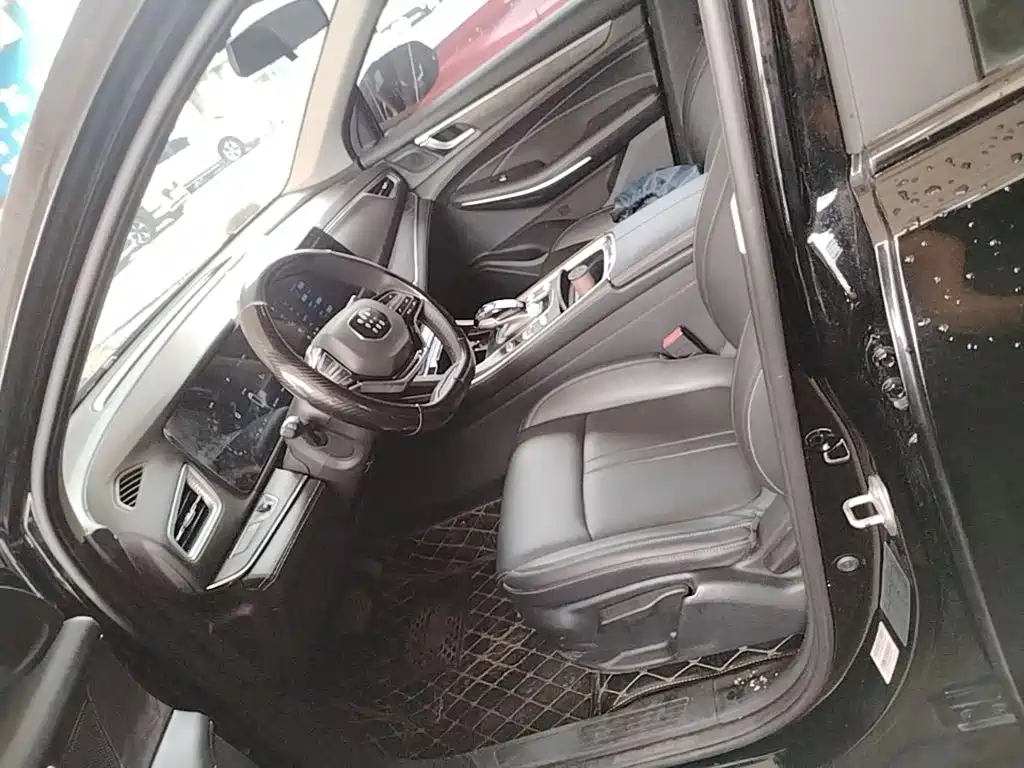 Landian E5 2024 2024 Glory Edition 100KM Comfort Type 5-Seater