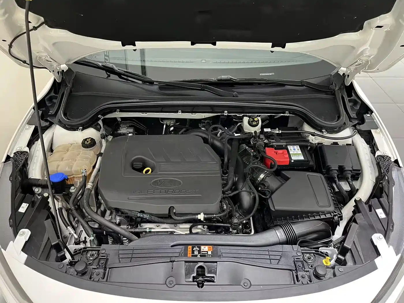 Ford Focus 2022 Hatchback EcoBoost 180 Auto Speed Edition фото 13