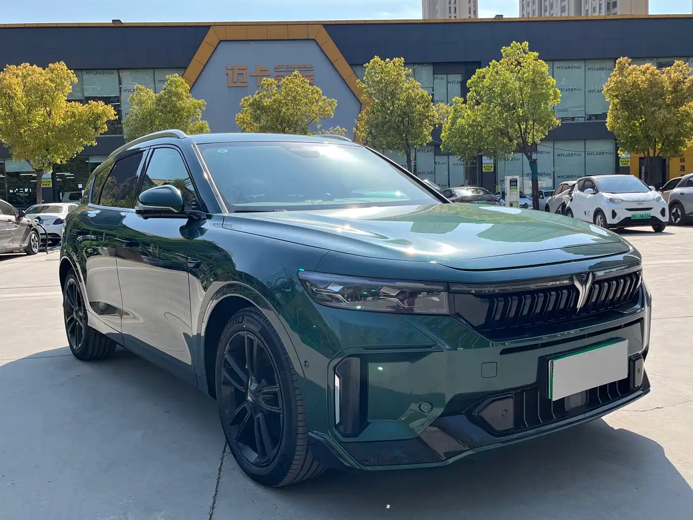 Voyah Auto VOYAH FREE 2024 Ultra Long Range Intelligent Driving Edition фото 3