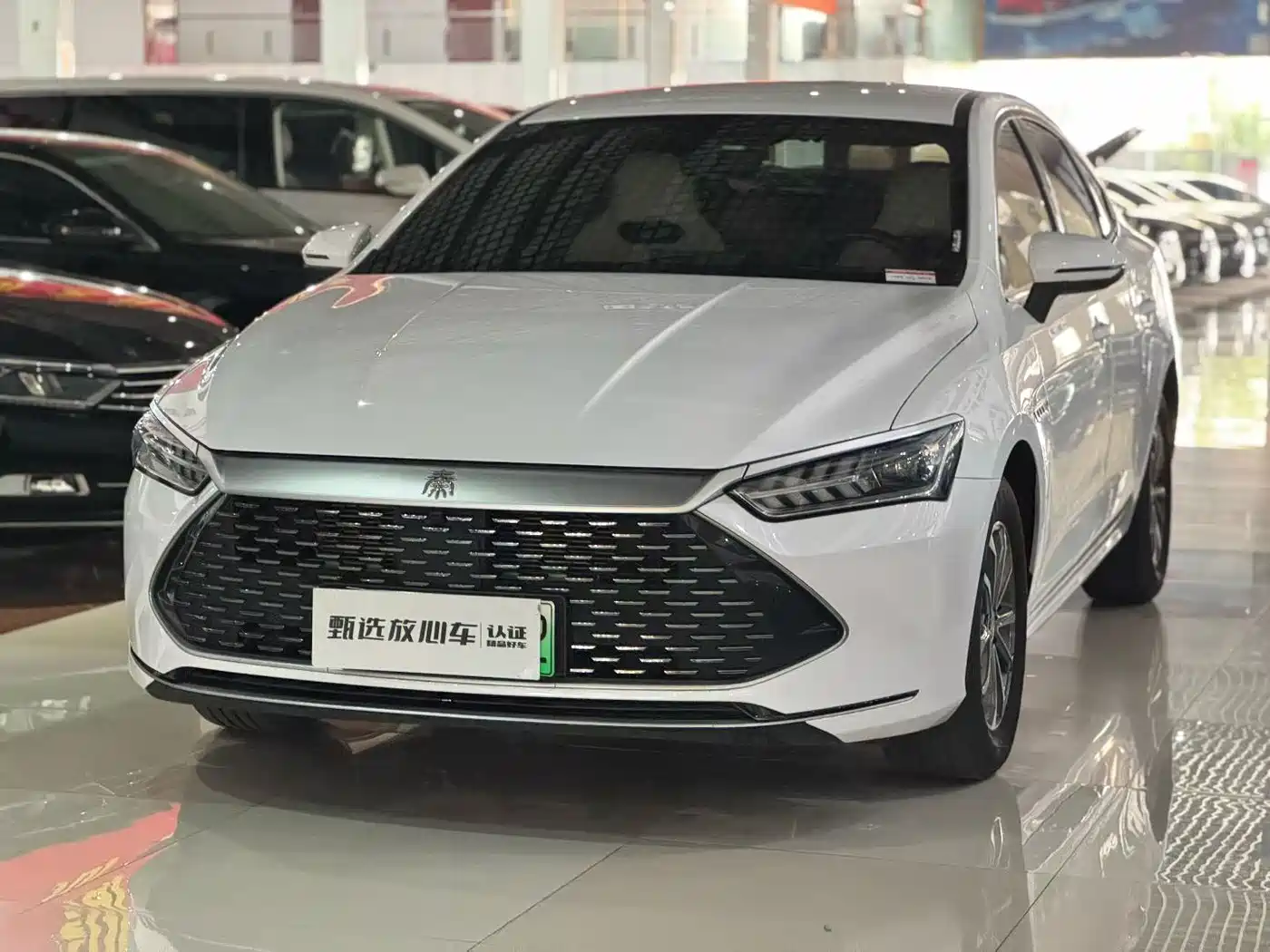 BYD Qin PLUS 2023