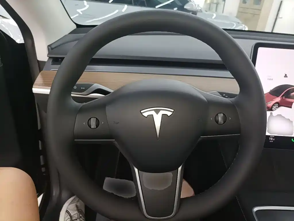 Tesla Model Y 2021 2021 Standard Range Rear-Wheel Drive