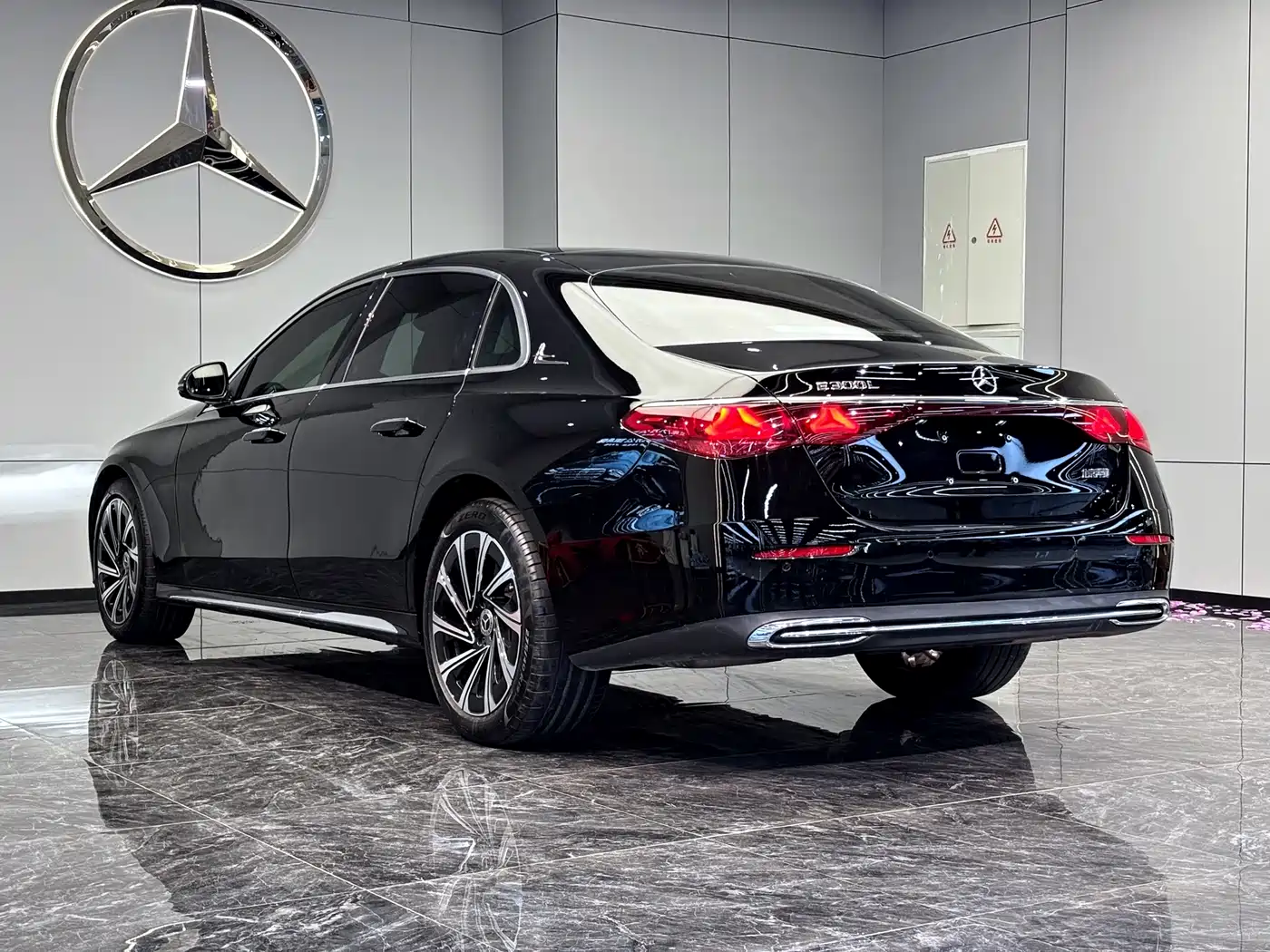 Mercedes-Benz E-Class 2025 E 300 L Luxury фото 9