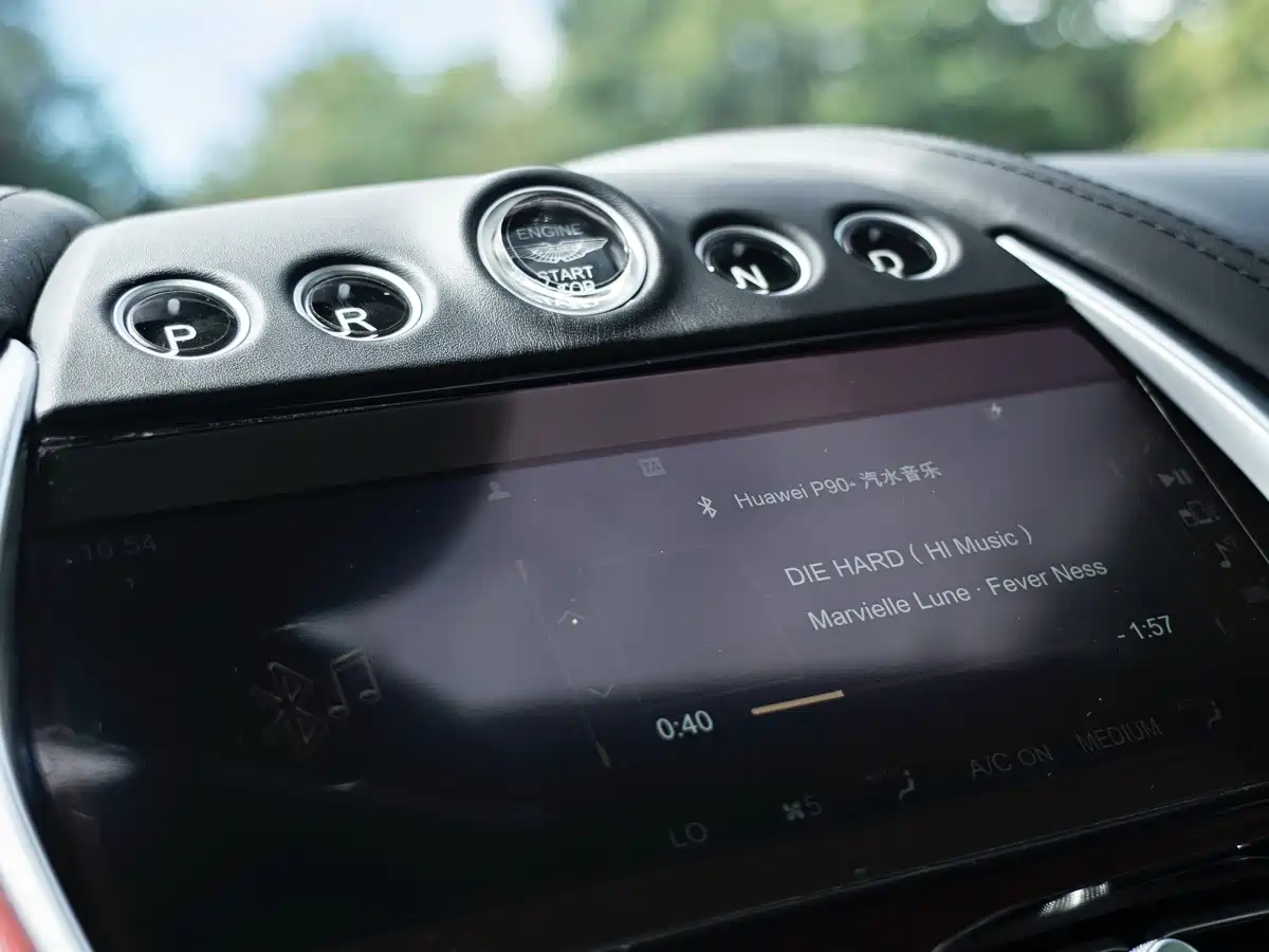 Aston Martin DBX 2023 2024 4.0T V8