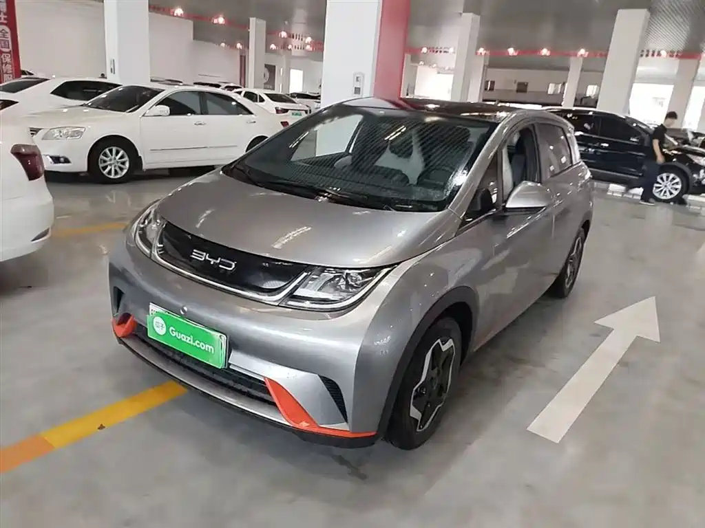 BYD Dolphin 2021 Model 405km Fashion Edition фото 2