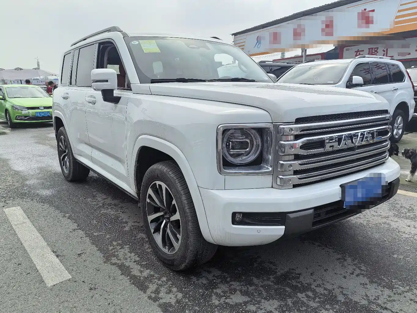 HAVAL H9