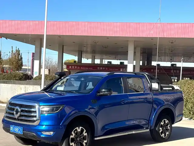 Great Wall Pao 2021 2.0T Passenger Global Edition Automatic Gasoline 4WD Sport Standard Box GW4C20B