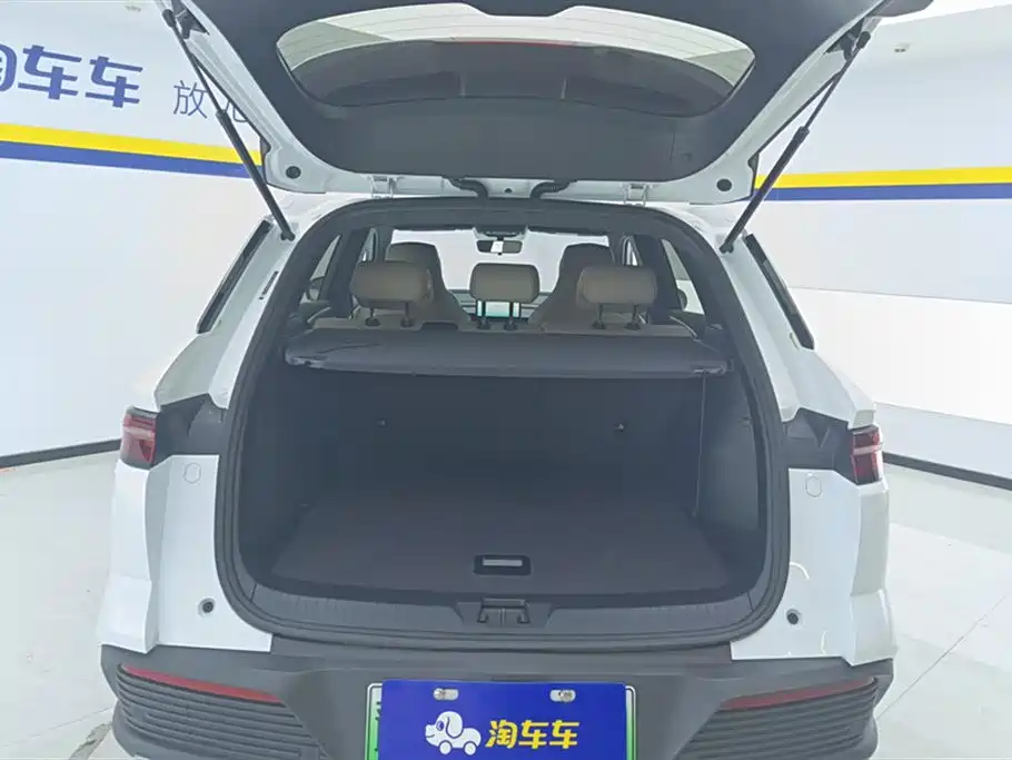 BYD Song Pro New Energy 2024 Glory Edition DM-i 71KM Pilot фото 4
