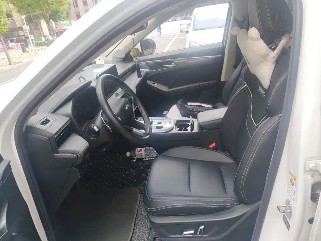 Haval First Love 2021 2021 1.5T Automatic Premium Edition