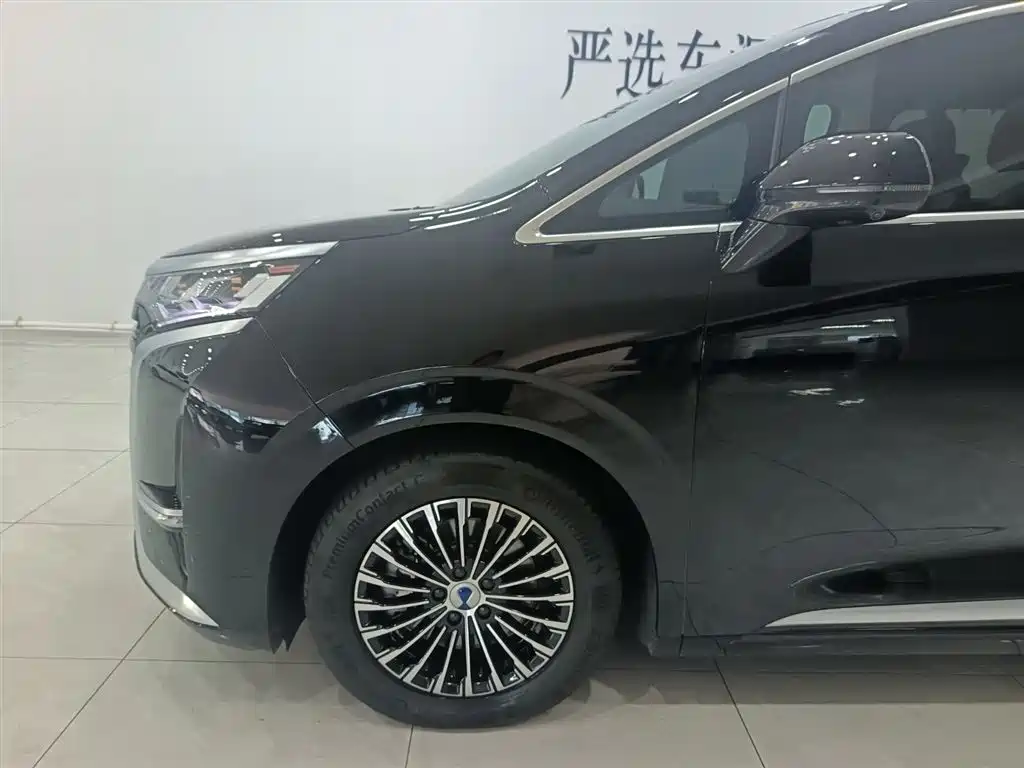 Denza D9 2023 2022 DM-i 1040 Premium