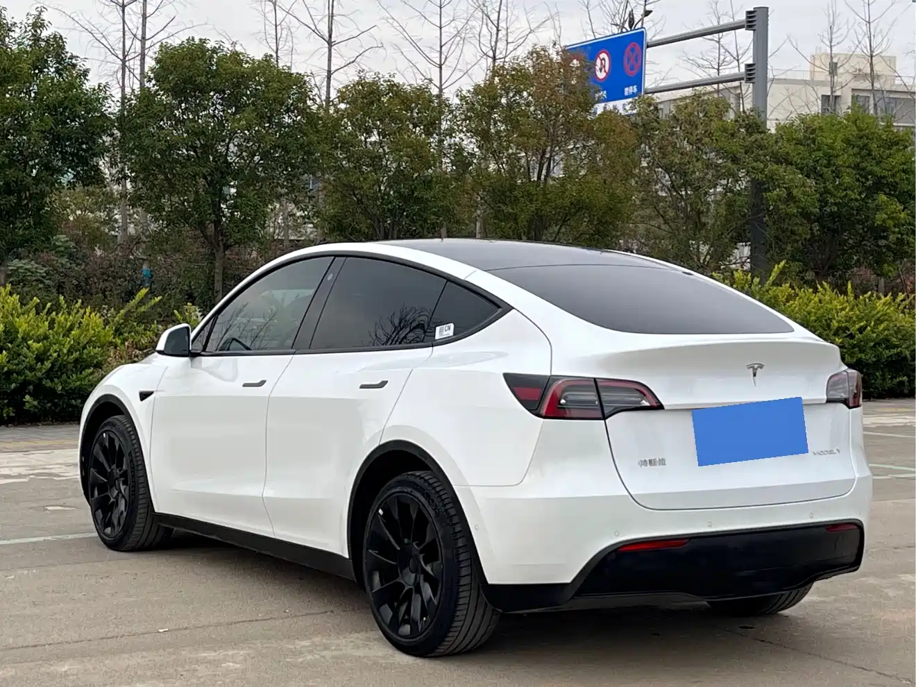 TESLA MODEL Y