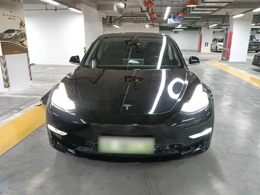 TESLA MODEL 3 (IMPORTED)