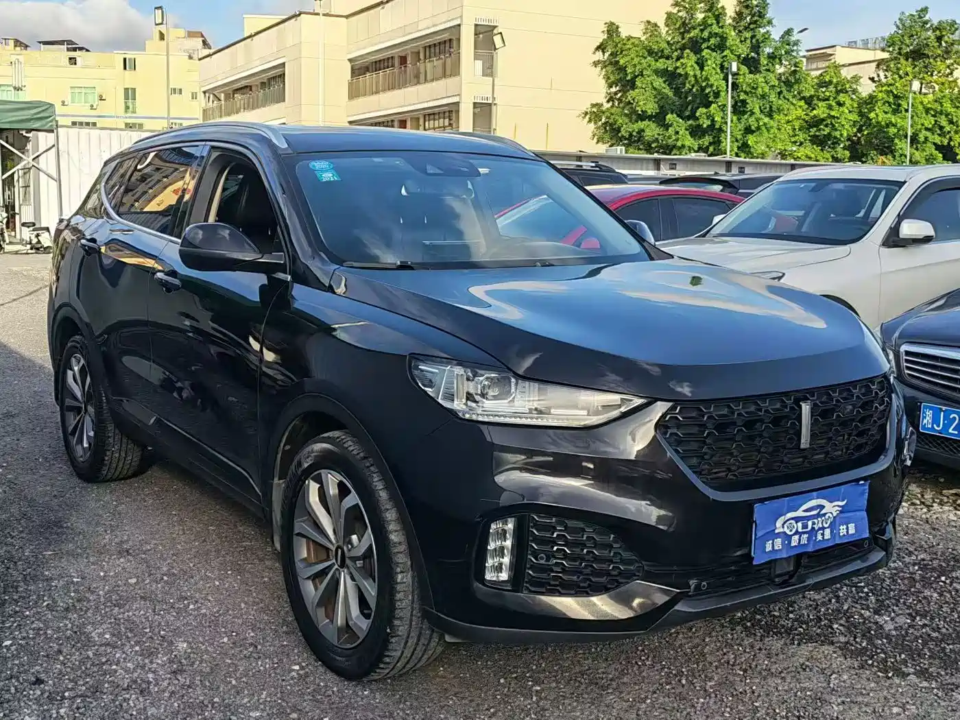WEY VV6 2019 2018 2.0T 2WD Super Luxury China V