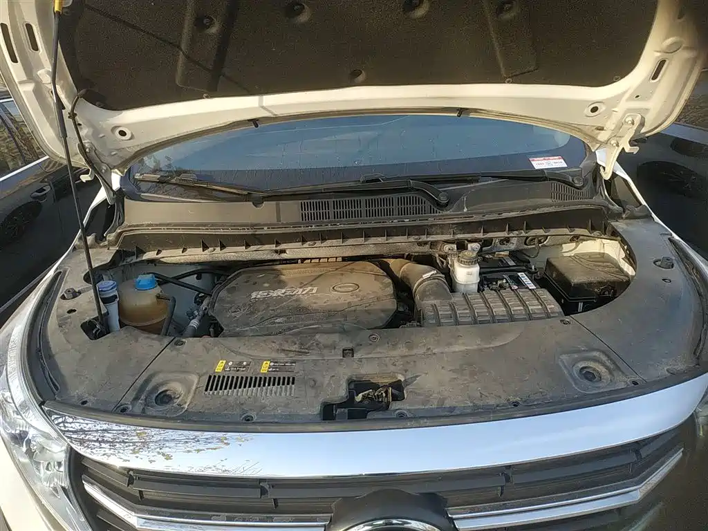 GAC Trumpchi Trumpchi M8 2021 Leading Show Series 390T Premium Edition фото 10