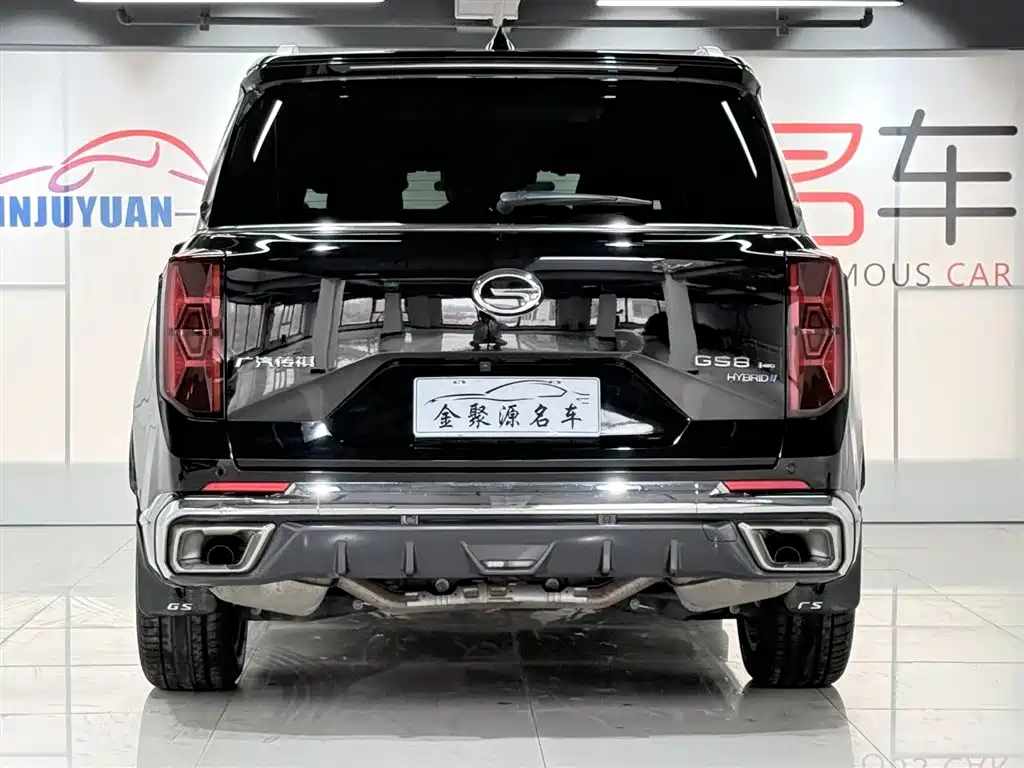 GAC Trumpchi Trumpchi GS8 2022 Hybrid Series 2.0TM 4WD Premium Edition (7-Seater) фото 5