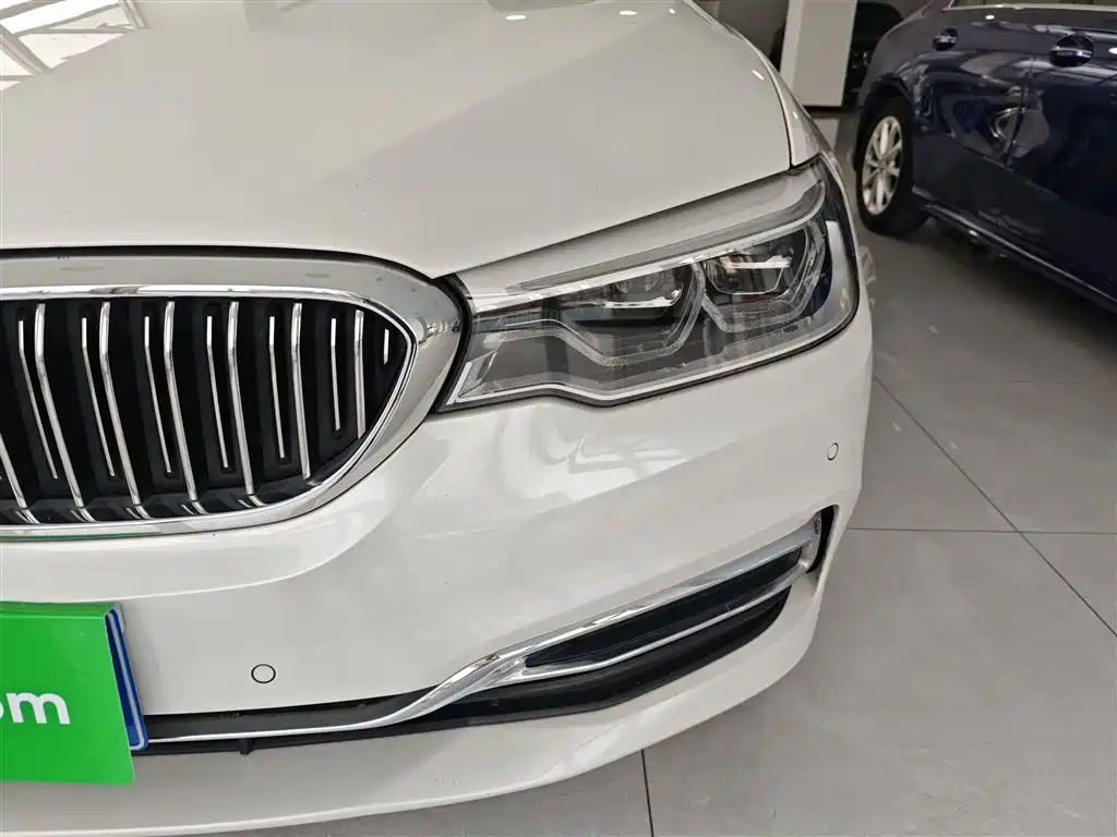 BMW 5 Series 2020 530Li Leading Luxury Package фото 15