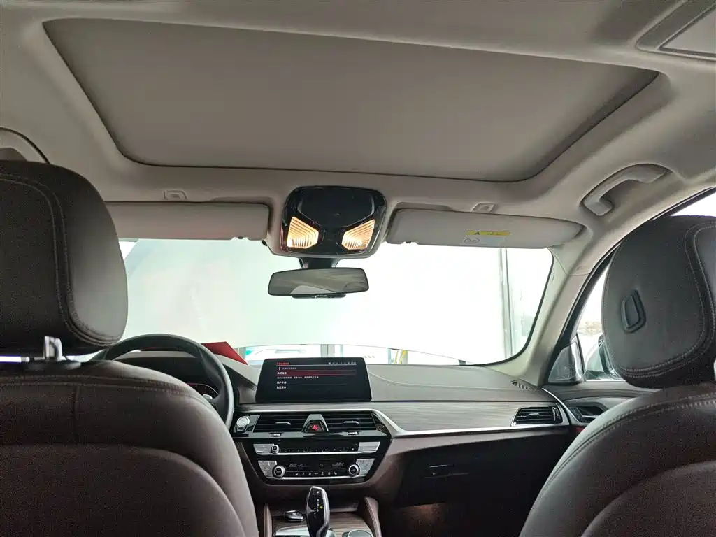 BMW 5 Series 2020 530Li Leading Luxury Package фото 8
