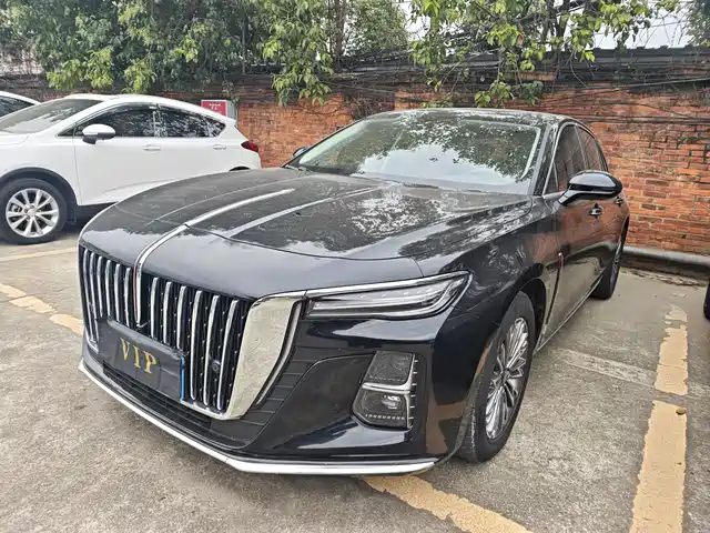 Hongqi H5 1.5T DCT, коннект