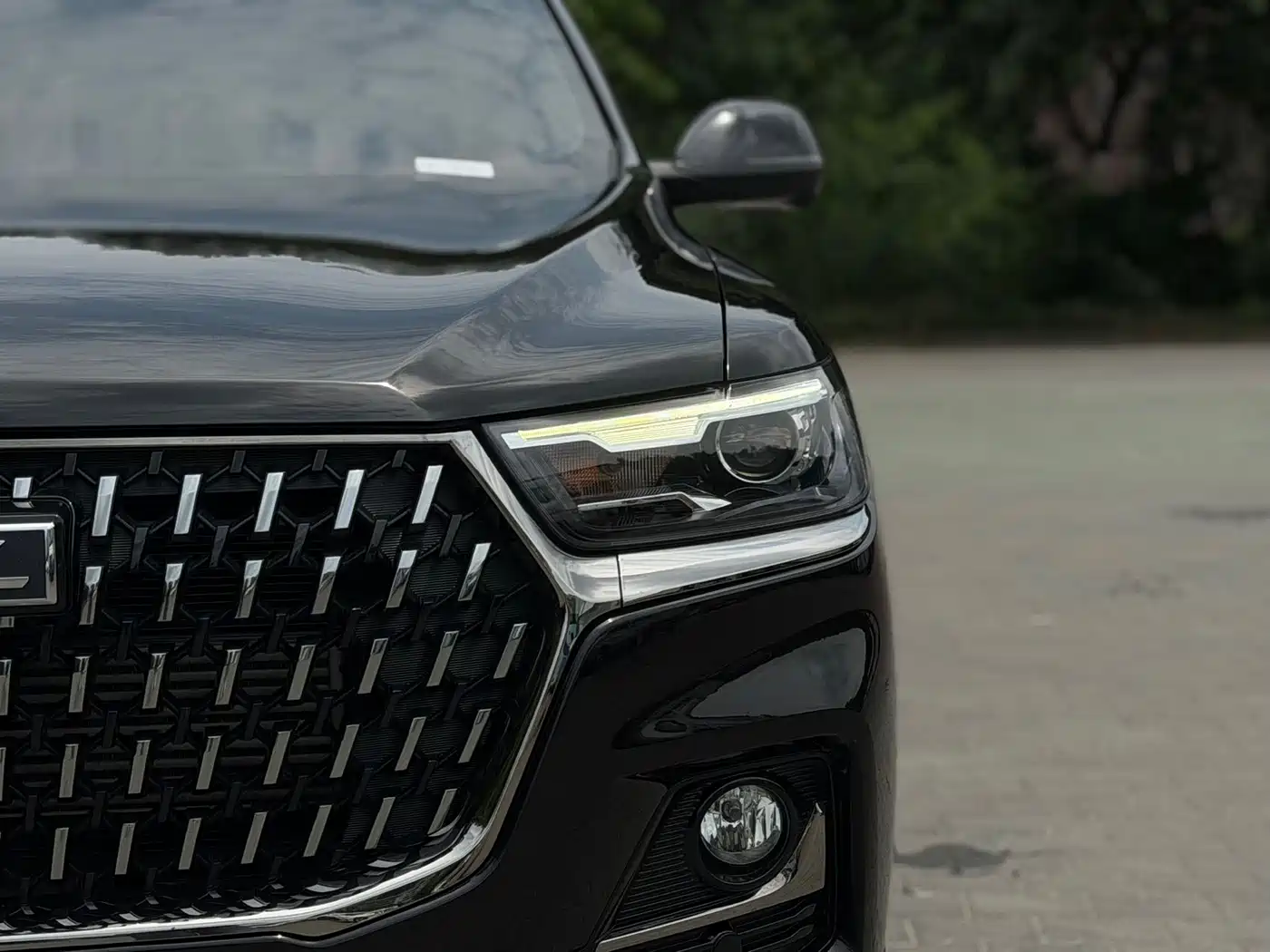 Haval H6 2023 National Trend Edition 1.5T Automatic Champion фото 9