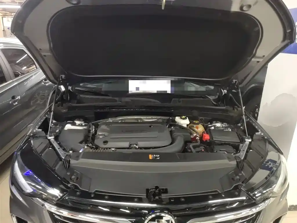 Buick Envision Plus 2021 Envision Plus 652T 5-seater AWD Luxury фото 20