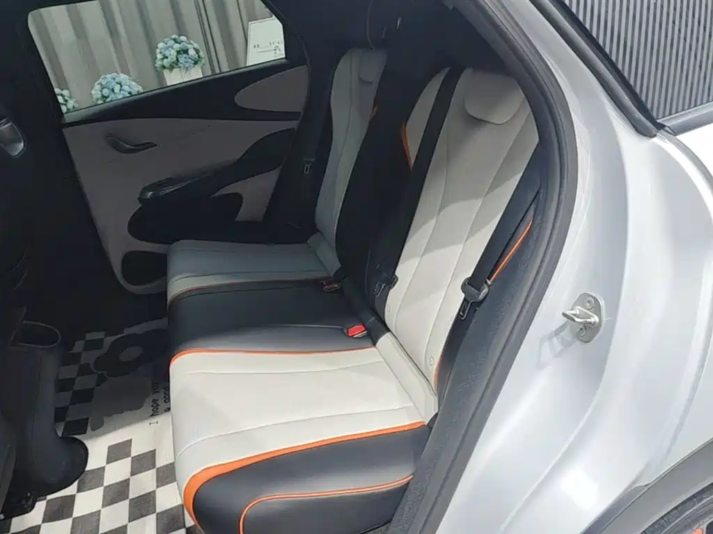 BYD Dolphin 2021 401km Knight Edition фото 17