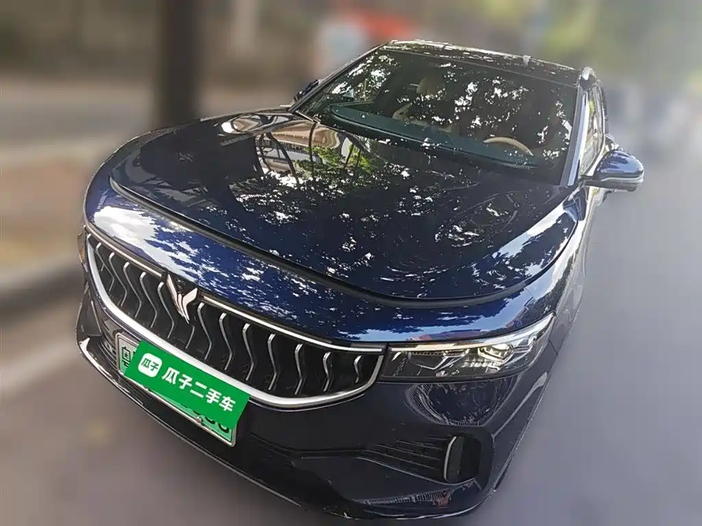 Voyah Auto VOYAH FREE 2021 AWD Standard Range Extender Exclusive Luxury Package