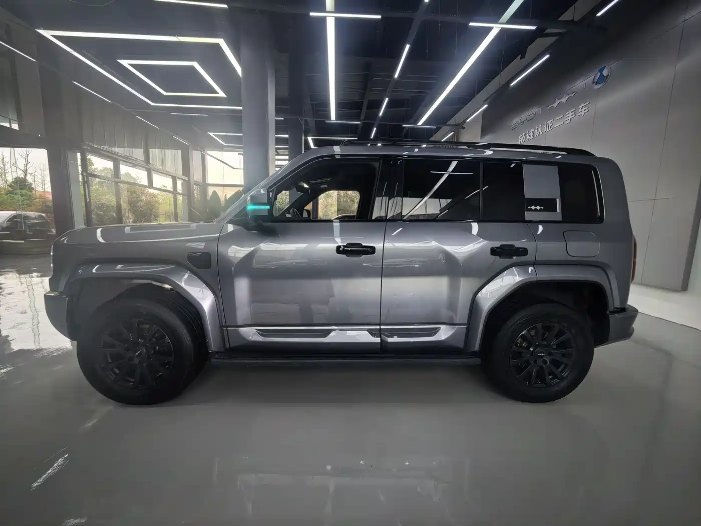 FANG CHENG BAO LEOPARD 5