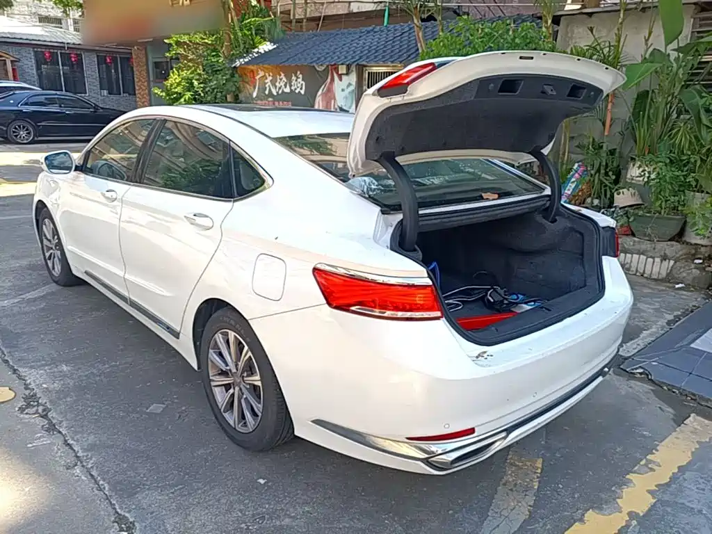 Фото 5 - Geely Borui PHEV