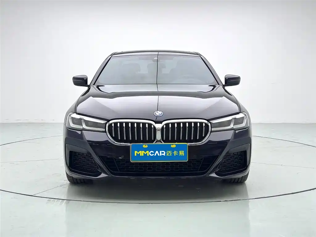 BMW 5 SERIES NEW ENERGY