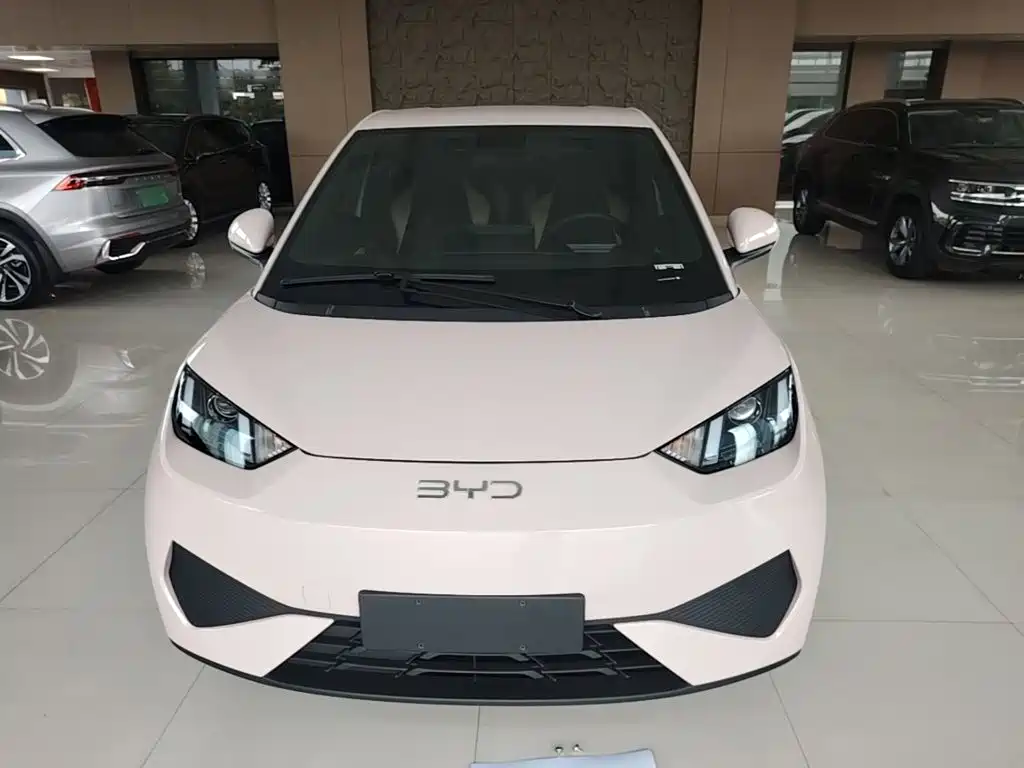 2026 BYD Seagull
