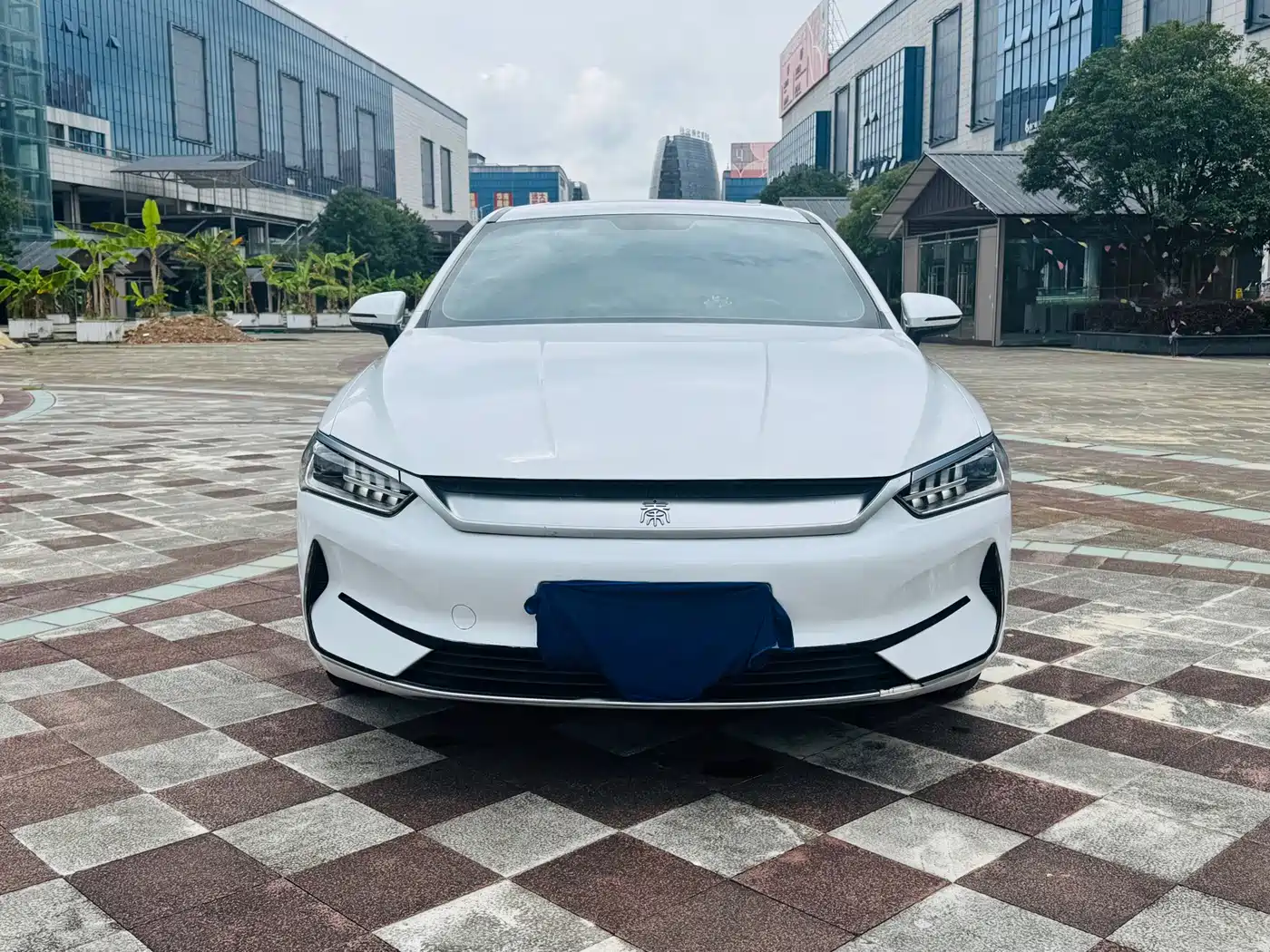 Фото 2 - BYD Qin PLUS