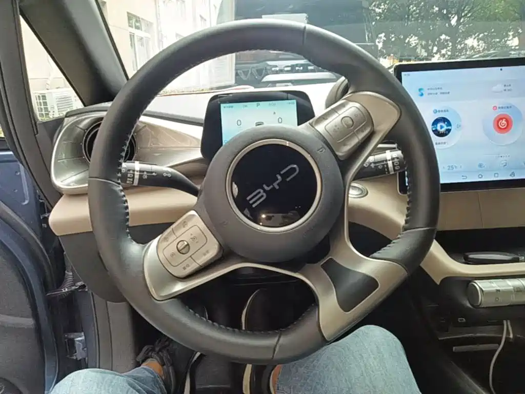 Photo 11 - BYD Dolphin