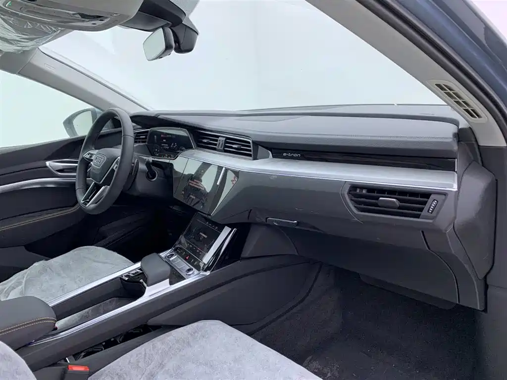 Audi e-tron 2021 50 quattro Luxury фото 17