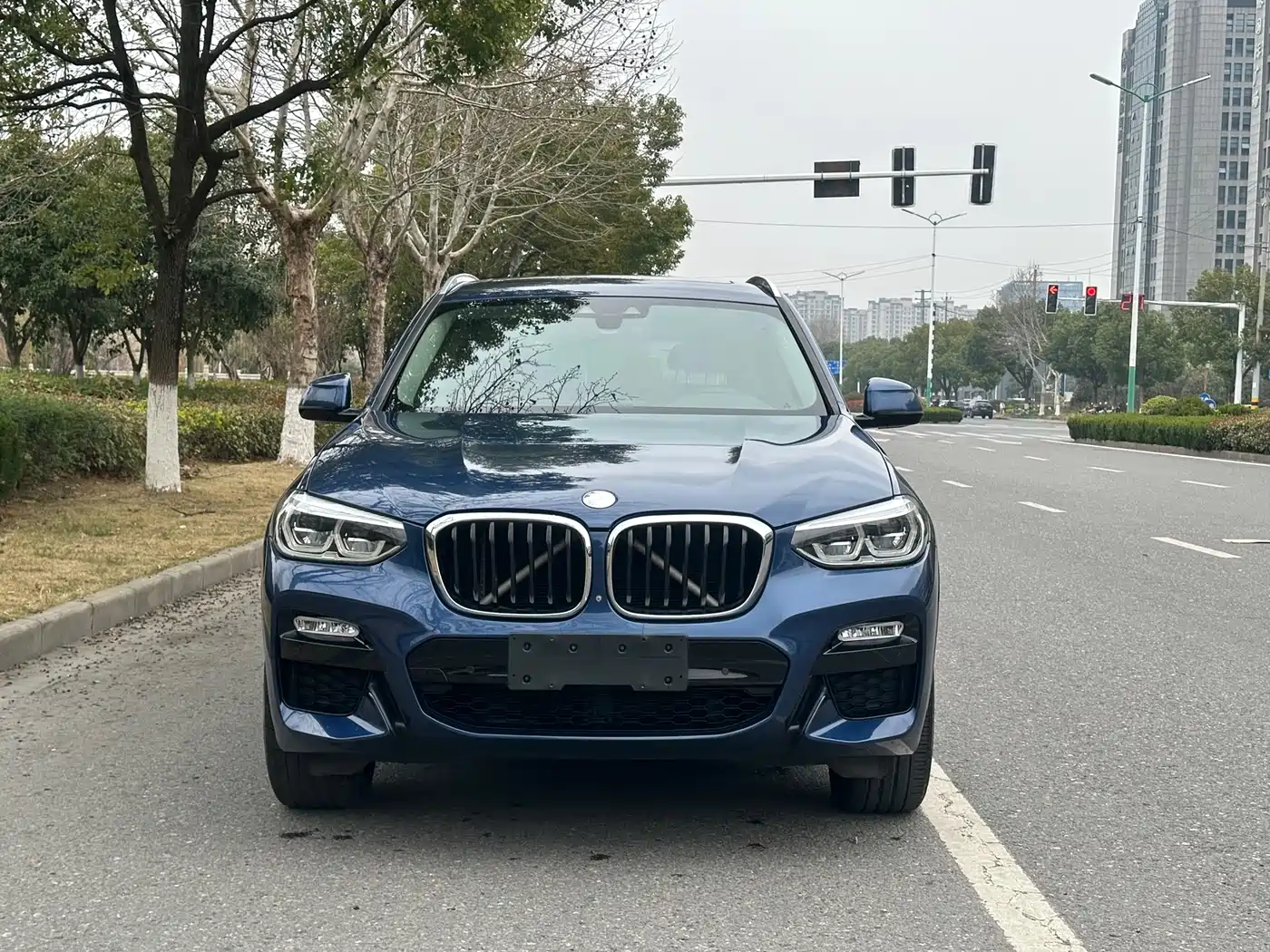 BMW X3 2019 xDrive30i Leading M Sport Package фото 2