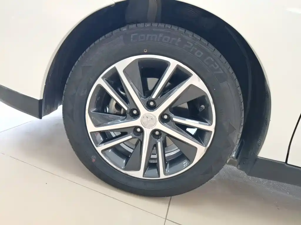 Venucia D60 2021 2020 1.6L XL CVT Delight Edition
