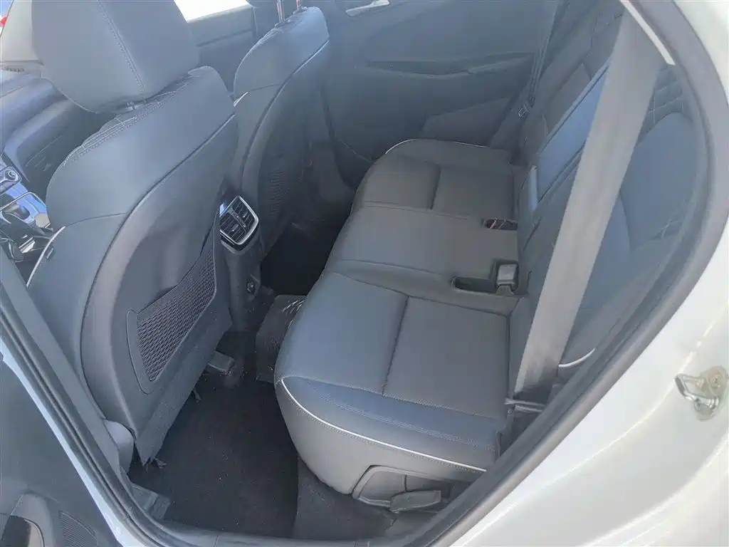 Hyundai Tucson 2020 280TGDi 2WD GLS Fashion (China VI) фото 14
