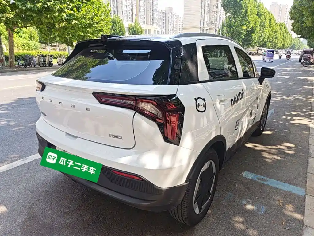 Geely Geometry E Firefly 2024 2024 Model 301km Light Flow
