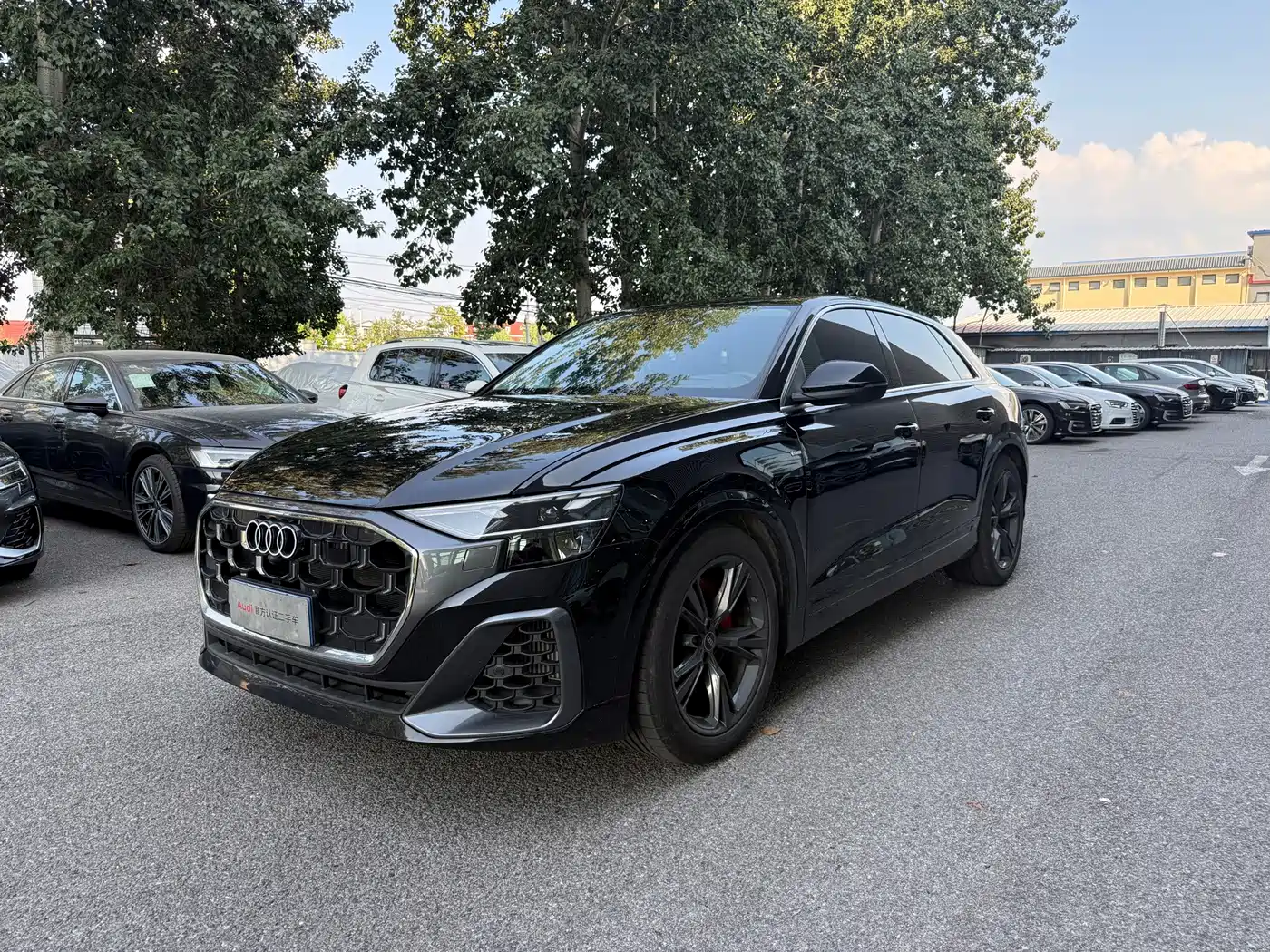 Audi Q8 2026 2024 55 TFSI Luxury Sport